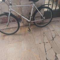 bicicletta Mountain Bike