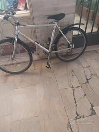 bicicletta Mountain Bike