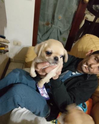 Chiuhaha