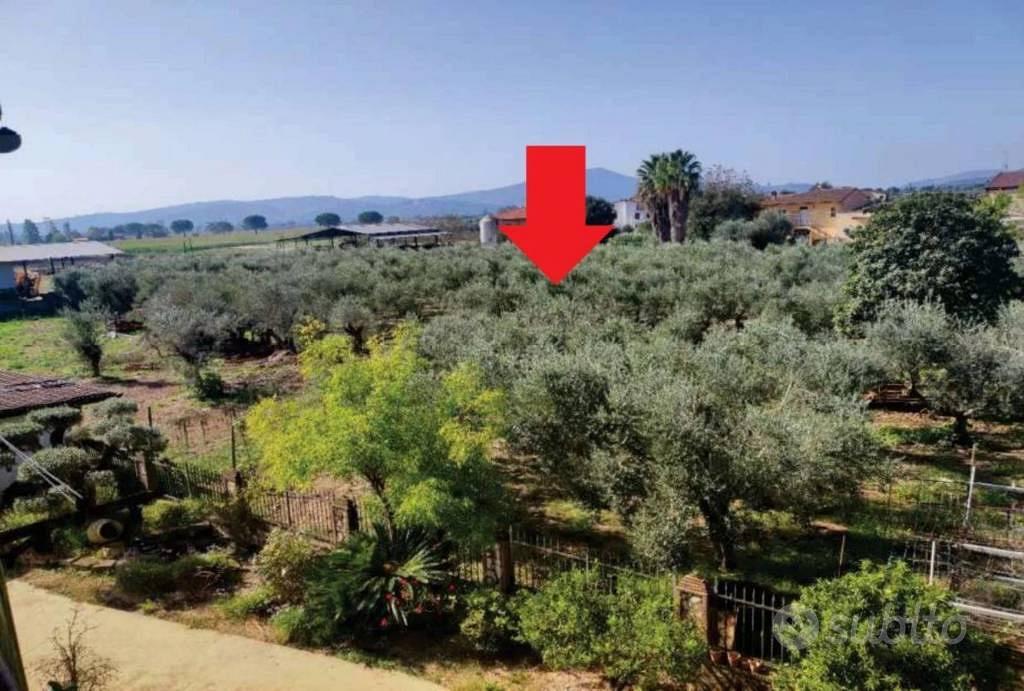 Immobile in asta di 4386 m² a Maenza - Vista 2