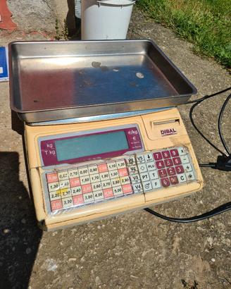 bilancia elettronica