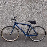 Bicicletta MTB Wheeler ultraleggera in alluminio