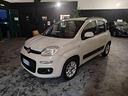 fiat-panda-1-2-lounge
