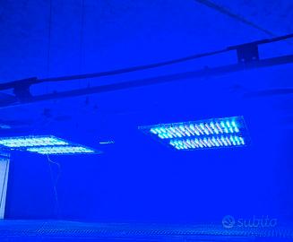 lampada gnc bluray x