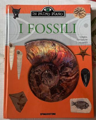 Libro sui fossili
