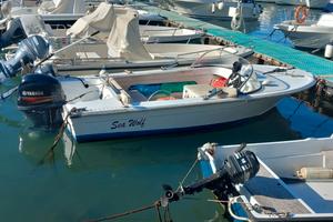 Barca motoscafo Solcio