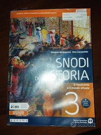 Gli snodi della storia 