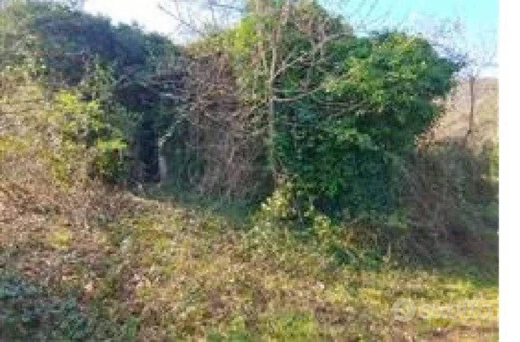 Immobile in asta di 135918 m² a Fossombrone - Vista 3
