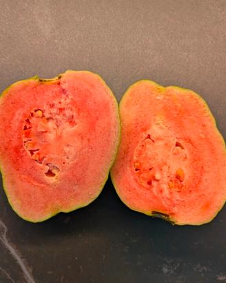 Pianta di Guava-rosa, Psidium guajava