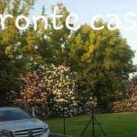 Visite dal 18/03/26 Monolocale Lucca STADIO