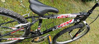 Mountain bike ragazzo 9-12