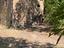 Immagine 28