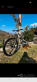 MTB Enduro YT Capra CF