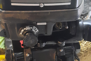 Motore fuoribordo mercury 8cv