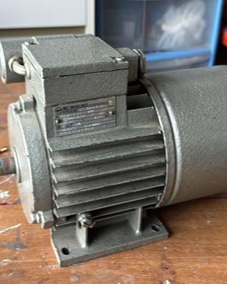 Motore elettrico, 220 V 2800 giri asse 14 mm