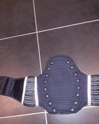 Fascia protezione schiema