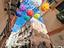 Immagine 1