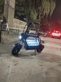 Velocipede elettrico a sella 70 km 800 w