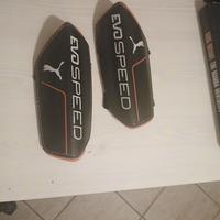 parastinchi puma