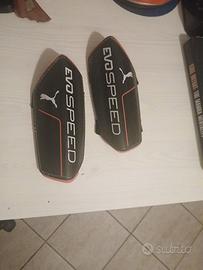 parastinchi puma