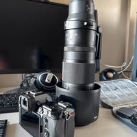 Nikon Z6iii + nikkor 180-600 f5.6-6.3