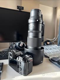 Nikon Z6iii + nikkor 180-600 f5.6-6.3