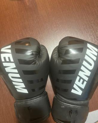 Guantoni da boxe venom 14oz