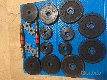 Pesi ghisa con manubri