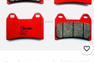 Coppia Pastiglie ant sint Ducati 07BB19SA