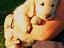 Immagine 8