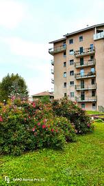 Appartamento Biella [Cod. rif 3265791VRG]