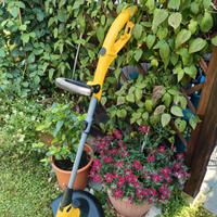 tagliabordi elettrico 