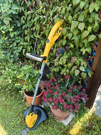 tagliabordi elettrico 