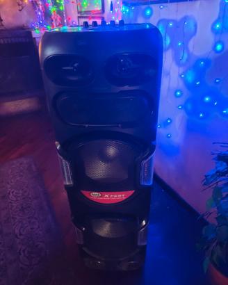 XFest Altoparlante Amplificato 300W Trevi XF 3500