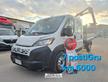 FIAT DUCATO 7 POSTI GRU 2024
