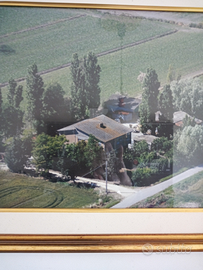 Vendita terreno agricolo