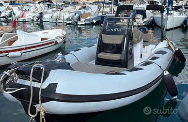 Ranieri 23 Cayman Sport + 175 Suzuki 2020