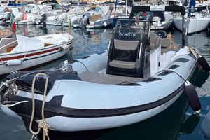 Ranieri 23 Cayman Sport + 175 Suzuki 2020