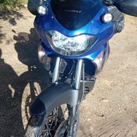 Honda Transalp XL 650,