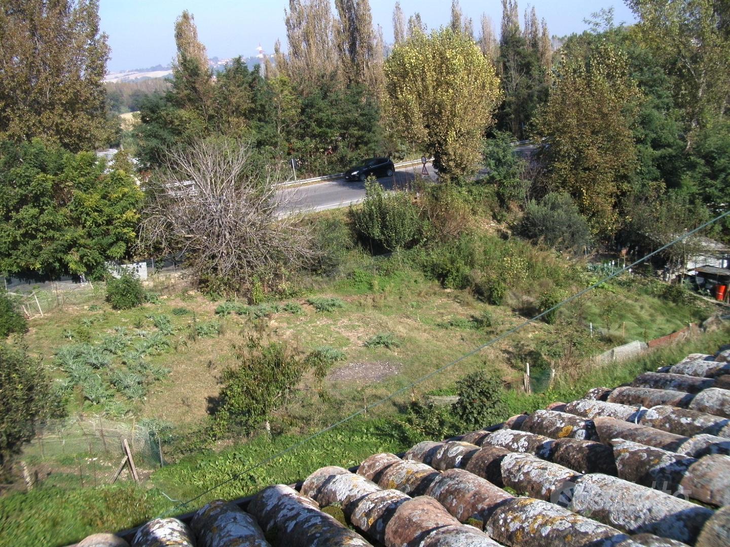Terreno con alberi da frutta - Vista 4