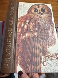 Libro sugli uccelli in inglese vintage