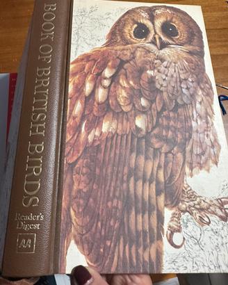 Libro sugli uccelli in inglese vintage
