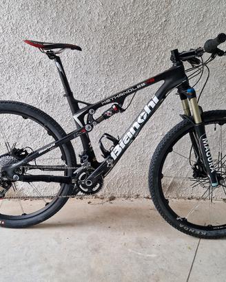 bianchi methanol FS 29"
