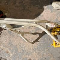 Telaio Fantic 303.2 completo di forcellone