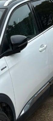 porta ant sx dx Peugeot 3008 serie 2016/23