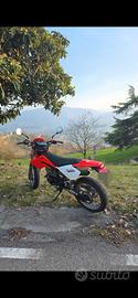 beta rr 125 2006 RESTAURATA