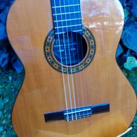 Chitarra Privada P7