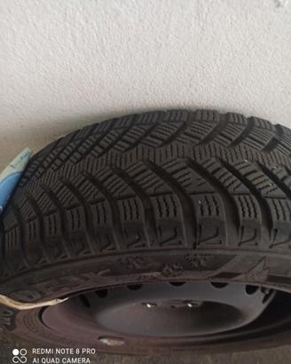 Gomme invernali Panda