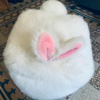 Pouf peluche coniglio IKEA