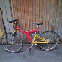 Mountain bike ragazzo diametro 26